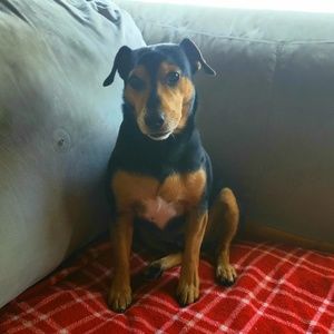 Meet your Posher, Tammy